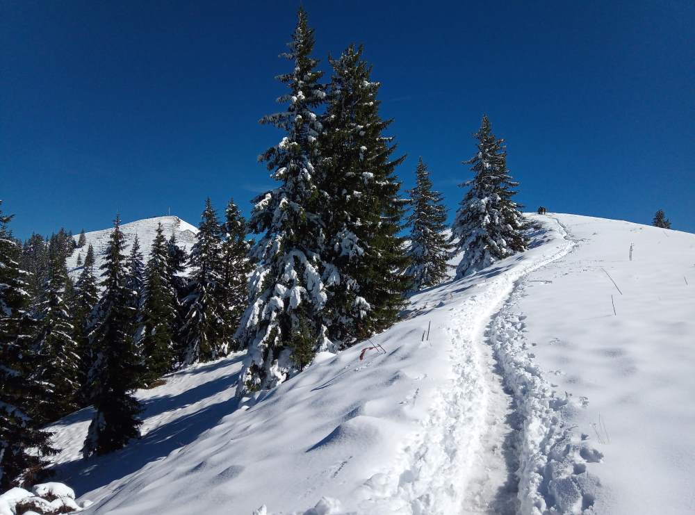 winter hike to Seekarkreuz